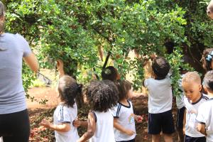 Comendo Acerola na Horta 