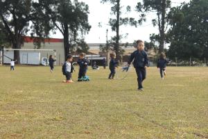 ATIVIDADES MS DE JULHO 
