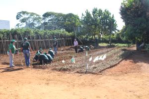 PROJETO JOVEM APRENDIZ EM PARCERIA COM O SINDICATO RURAL