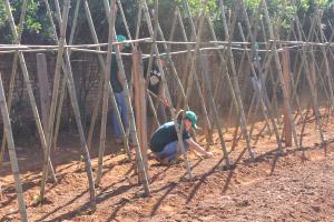 PROJETO JOVEM APRENDIZ EM PARCERIA COM O SINDICATO RURAL