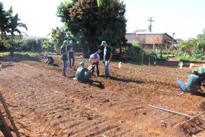 PROJETO JOVEM APRENDIZ EM PARCERIA COM O SINDICATO RURAL