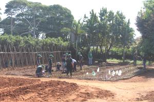 PROJETO JOVEM APRENDIZ EM PARCERIA COM O SINDICATO RURAL